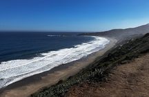 Zapallar Walking & Bird Watching Penguins Private Tour From Stgo