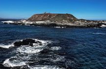 Zapallar Walking & Bird Watching Penguins Private Tour From Stgo