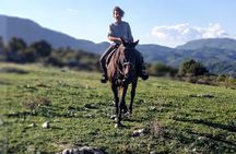 Daily out of Rome : Horseback ride with meals & wine included 