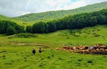 Daily out of Rome : Horseback ride with meals & wine included 