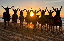 Tangier : Sunset Camel Ride With Barbecue dinner in Tangier 