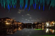 Harbor Lights Tiki Cruise