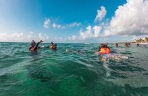 Akumal Snorkeling With Turtles