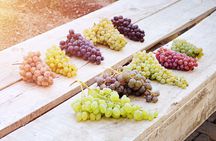 Cappadocia Wine Tasting Experience