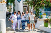 Mykonos Culture and History Private Guided Tour