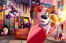 Universal Studios Hollywood and Celebrity Homes Tour Package