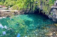 Upolu: Private Tour - Beach, Waterfall and Ocean Trench