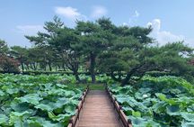 Day trip from Seoul to Gangneung: East Coast Bliss