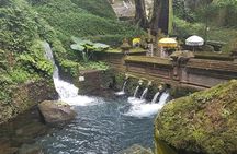 Sacred Soul Journey: Healing & Water Purification in Bali