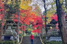 Private Hiking Tour with a certified national guide in Hakone