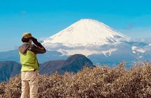Private Hiking Tour with a certified national guide in Hakone