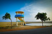 Birds & Beyond: Chennai to Pulicat Bird Sanctuary Day Tour