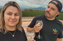 Casa Vigil (the enemy) + 2 cellars.