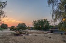 Dubai: Night Desert safari with Camel Ride & Stargazing