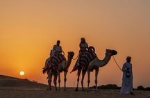 Dubai: Night Desert safari with Camel Ride & Stargazing