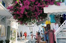 4 Hours Mykonos Tour Local Edition