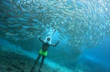 Tenerife Guided Sea Trek Underwater Walk 