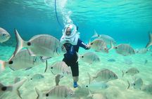 Tenerife Guided Sea Trek Underwater Walk 
