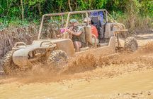 Tropical Buggy Tour to Water Cave and Macao Beach 