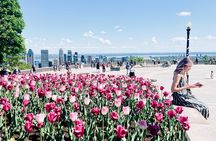 Montreal: 3-Hour Private Car Tour with Expert & Free Pick up