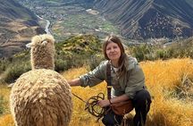 Alpaca Walk over the Sacred Valley of the Incas from Cusco