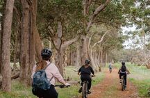 Half Day Wadandi Track Scenic E-Bike Tour