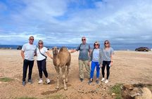 From Cruise Ship : Tangier Full day Guided Tour with Group