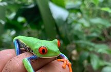 Nature Tour