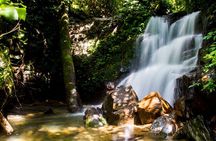 1 Day Sumatra Orangutan Jungle Trekking Medan - Bukit lawang 