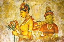 Safari Day Tour to Sigiriya Lion Rock and Golden Cave Temple