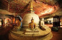 Safari Day Tour to Sigiriya Lion Rock and Golden Cave Temple