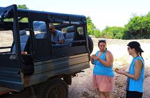 Safari Day Tour to Sigiriya Lion Rock and Golden Cave Temple