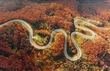 Vip | Nikko Signature Tour | Private Luxury from Tokyo
