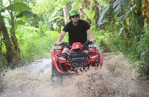 Bali ATV Quad Bike Monkey Forest Jungle Swing with Lunch