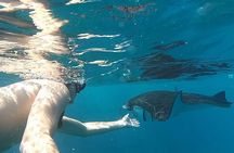 Snorkeling adventure to the manta ray habitat in Nusa Penida