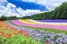 Hokkaido: Biei Blue Pond & Furano Lavender Farm Day Tour
