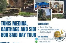 Kings Service: Private VIP Tunis,Carthage and Sidi Bousaid Tour