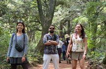 Small Group Tour in East Jeju Healing Island w/Woman Divers Show