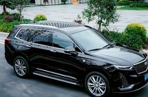 Xi'an Car Service: 1-2 Day Customizable Tour 