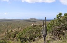 Bonaire Island Discovery North Side Tour