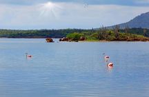 Bonaire Island Discovery North Side Tour