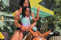 Blue Hole, River Tubing, and Horse Ride with Swim Ocho Rios