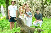 2 Day Trip Labuan Bajo Komodo Stay in Local Collection Hotel