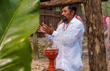 4-Hour Cenotes Tour with Hotel Pickup in Riviera Maya
