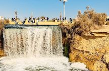 Desert Adventure from Cairo to Fayoum Oasis and Wadi El Rayan 