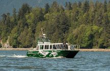 Intimate West Coast Whale Watching - Partly-Sheltered
