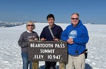 Beartooth Highway Small Group Tour with Wildlife Guide