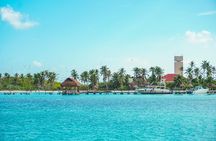 Beach Escape: Isla Contoy and Isla Mujeres with Snorkeling.