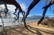 Road to Hana Maui Tours