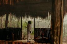 4-Hour Cenotes Tour with Hotel Pickup in Riviera Maya
